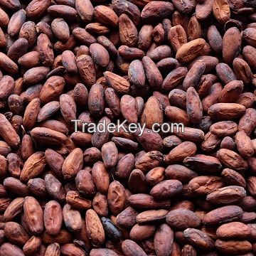 Top Quality West African Roasted Cocoa Beans From Cameroon