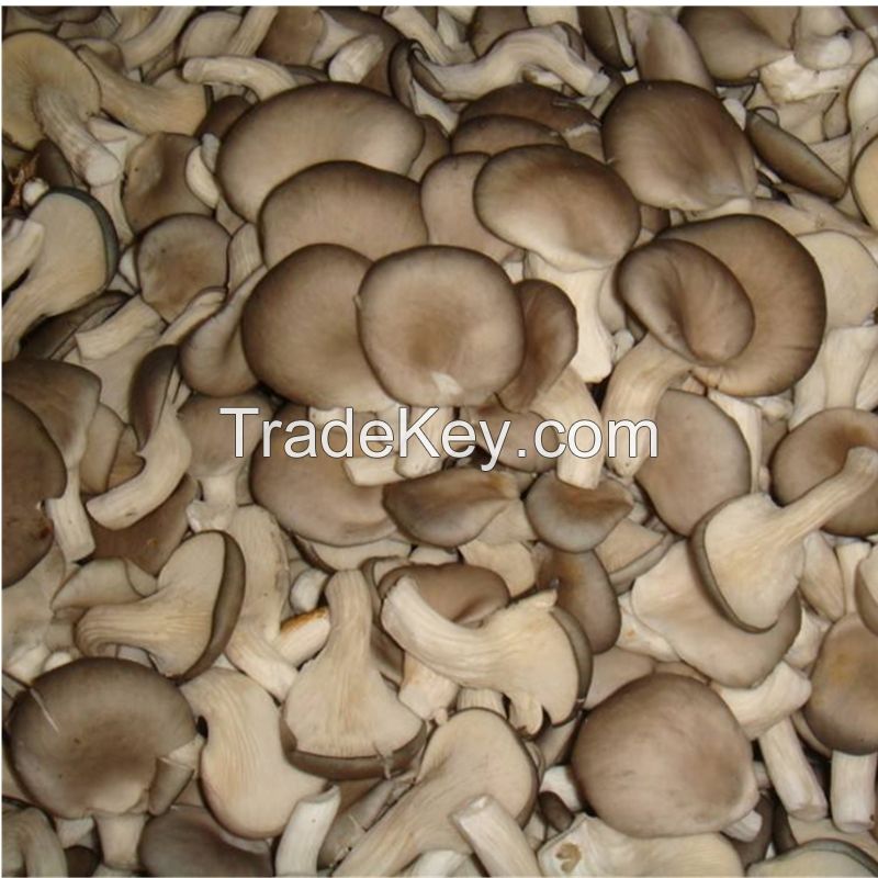 frozen mushroom and frozen fresh oyster mushroom