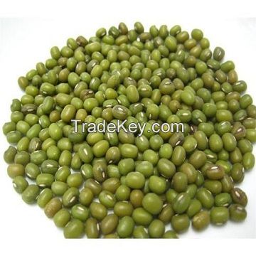 Green mung beans for sale