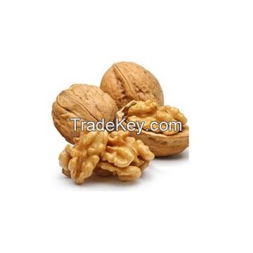 Ukraine Fresh Whole Nuts Raw Halves Kernels Fruit Walnut