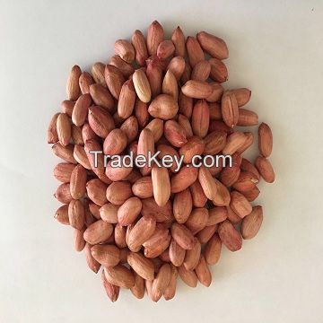 Wholesale High Quality Raw Bold Peanuts - Runner Variety Peanut