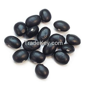 Bulk Dried Black kidney beans