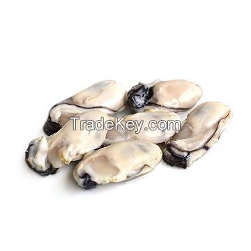 Whole Shell Oysters fresh instant frozen shrimp frozen seafood