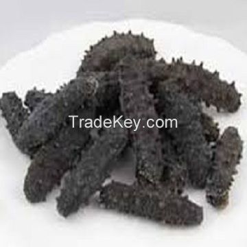 DRIED SEA CUCUMBER