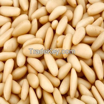 Pine Nuts, Best Quality Pine Nuts, Top Pine Nuts