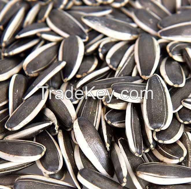 High Quality Sunflower Seeds Black Wholesale Best Quality Sunflower Kernel