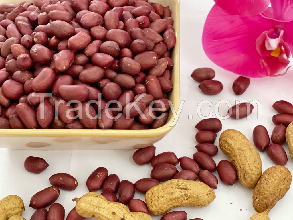 Wholesale Jumbo Raw Peanuts High Quality Natural Bold Blanched Peanuts Kernels