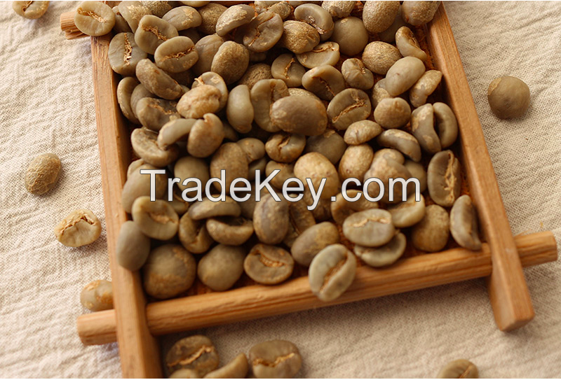 Arabica Coffee Beans Best Offer