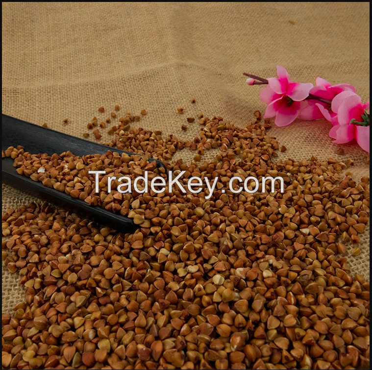 Wholesale High Quality Buckwheat With Best Price