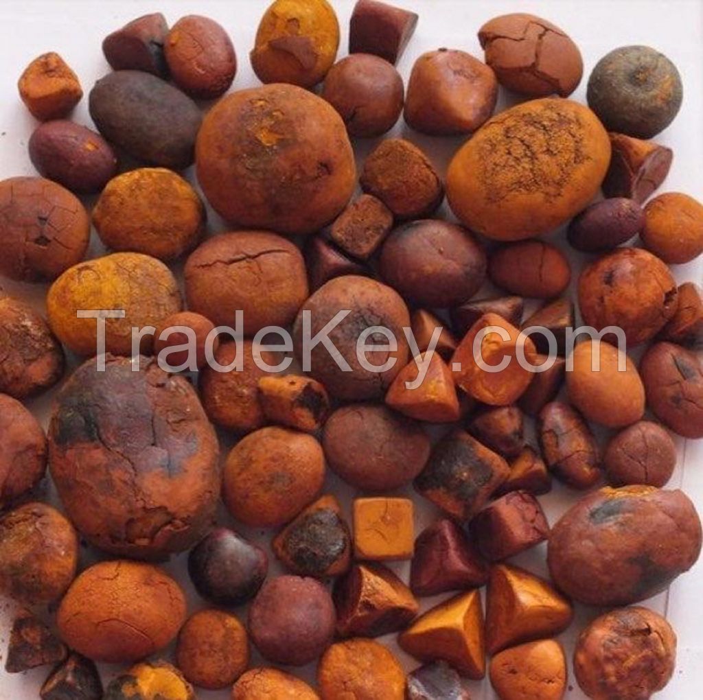 Low Competitive Prices Cow / Ox Gallstones.