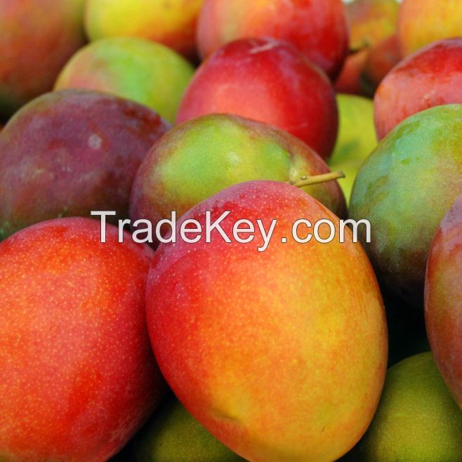 Fresh delicious mangoes for sale