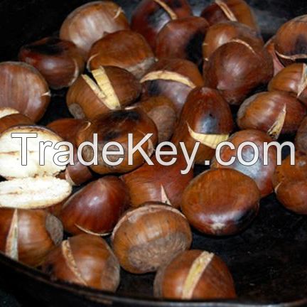 2020 new crop fresh organic uk healthy chestnut for sale