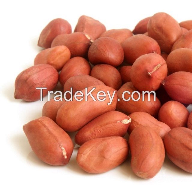 Peanut , Dried Kernel Peanuts Groundnut for sale