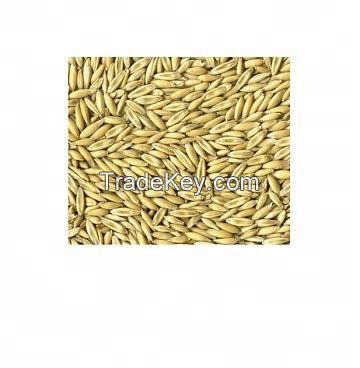 Rolled Oats , Oats Flakes, Oats Flour Hulled Oats