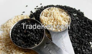 NEW SESAME SEEDS, HULLED SESAME SEEDS, WHITE SESAME SEEDS