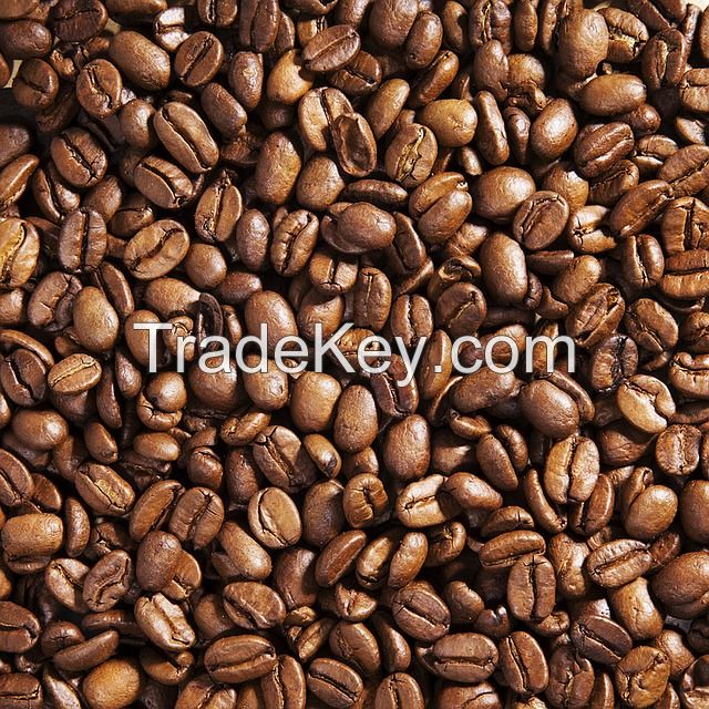 High Quality Price Of Arabica Ethiopian Coffee Beans