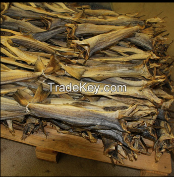 Fish Frozen, dried fish