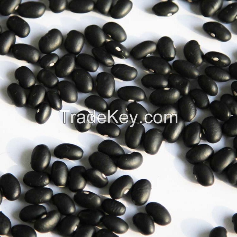 Highly processed Black Kidney Beans