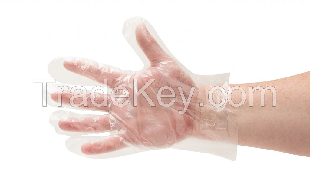 Safety Zone GDPE-LG High Density Clear Polyethylene PE Disposable Gloves, Large (Box of 100)