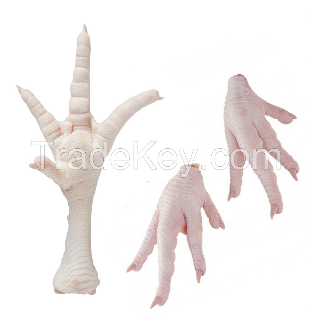 BRAZILIAN PROCESSED HALAL FROZEN CHICKEN FEET / FROZEN CHICKEN PAWS