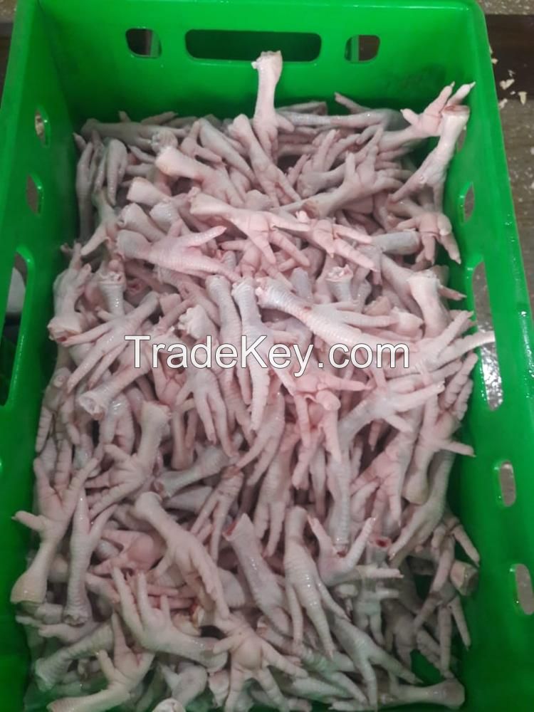 Frozen Halal Chicken Paws / Chicken Feet From Brazil For Sale In Bulk Premium Grade