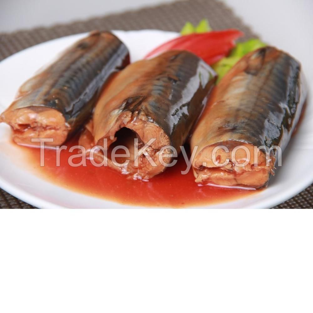 Canned Mackerel Fish In Tomato Sauce and Vegetable Oil