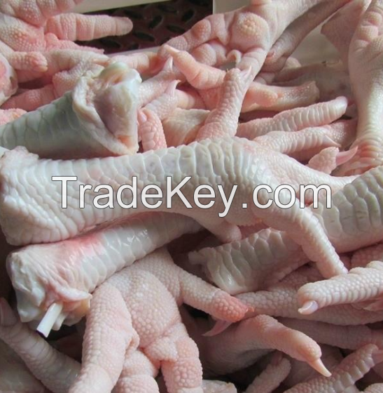 Processed Frozen Chicken Feet and Chicken Paws Stock Available for immediate shipment from SEARA