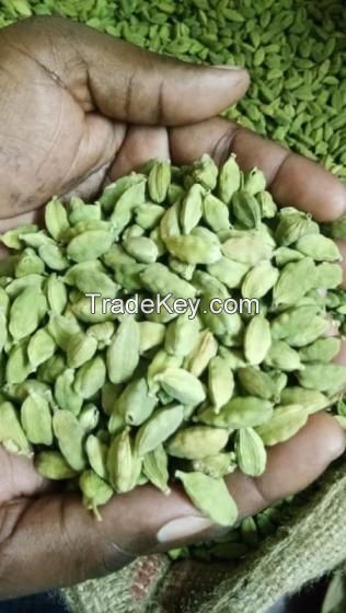 Export Quality Fresh Green Cardamom Seed from Trusted Supplier