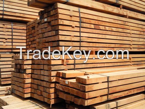 Timber Wood