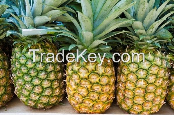 FRESH PINEAPPLES