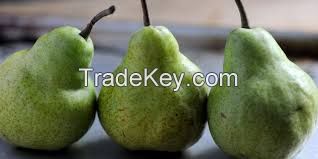 FRESH PEARS