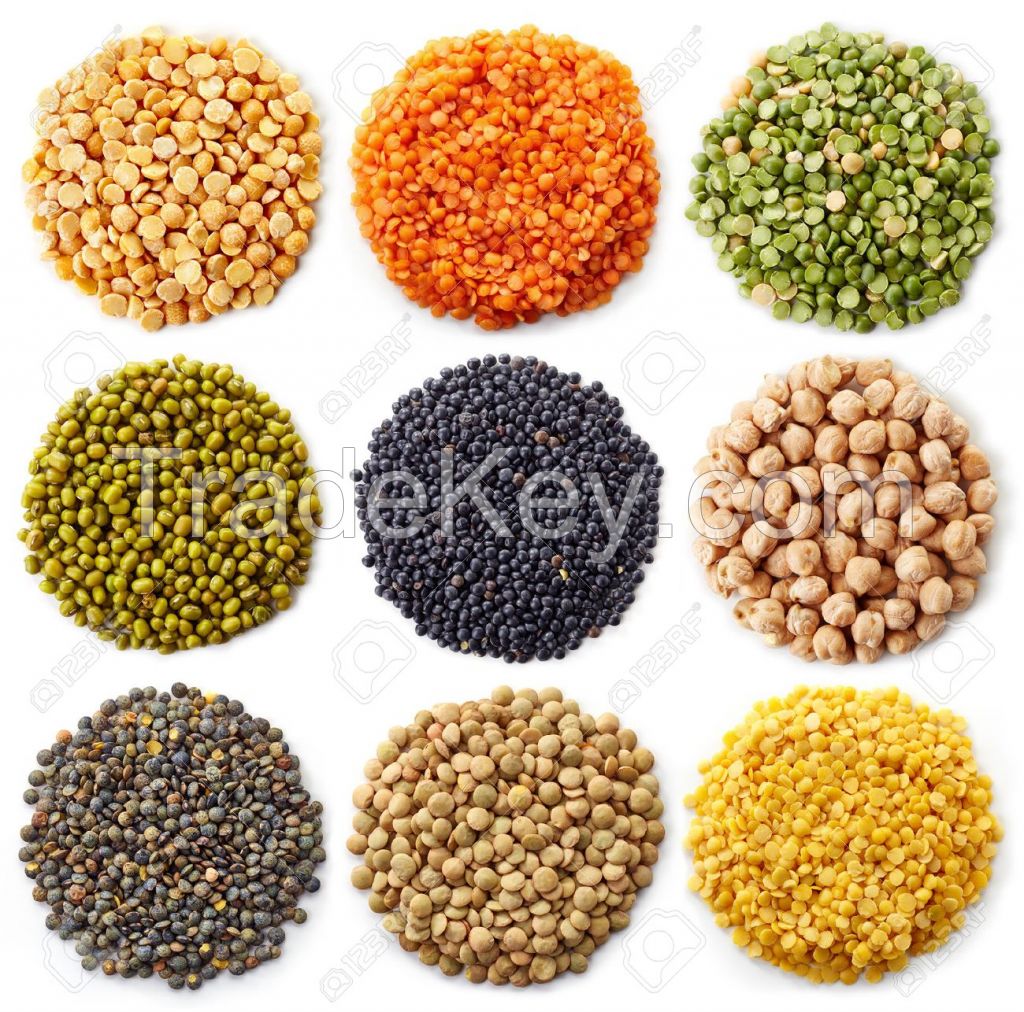 Lentils(Red, Green, Brown, Yellow, Black)