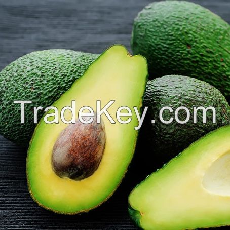 AVOCADO FRESH / Aguacate / PALTA HASS , Fresh Fruit & Hass Avocados