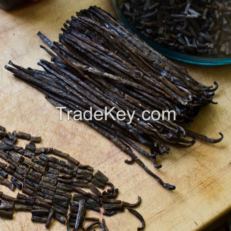 Top Quality Vanilla Beans for Sale