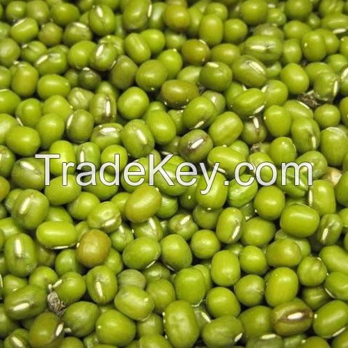 premium green mung beans