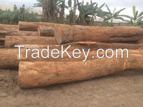 AZOBE ROUND LOGS