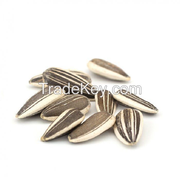 Chinese Natural Black Sunflower Seeds 363