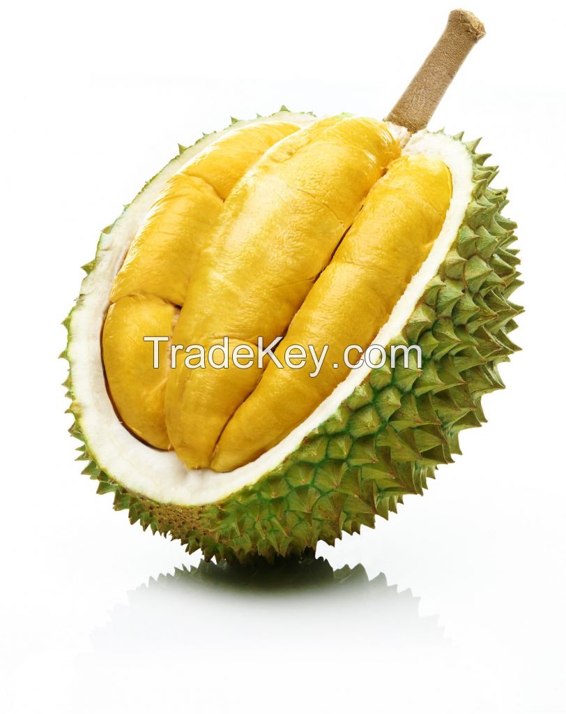 Fresh RI6 Durian in Whole from Vietnam supplier