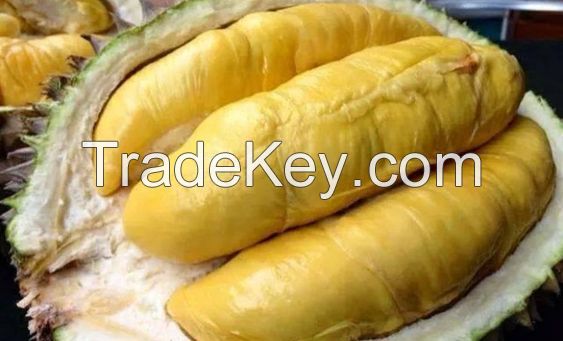 Whole fresh durian fruit from Vietnam wholesaler