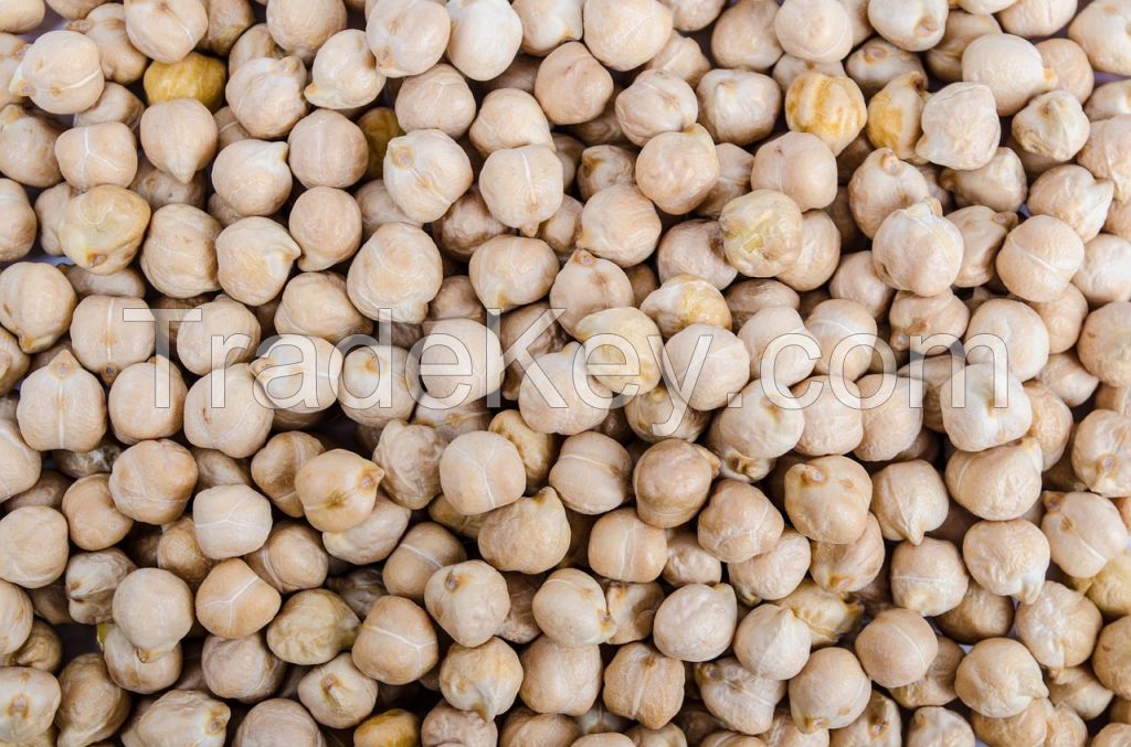 CANADIAN CHICKPEAS