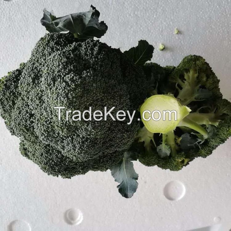 Broccoli