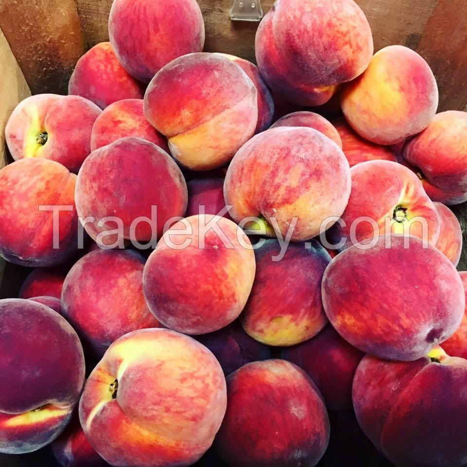 Fresh Peaches