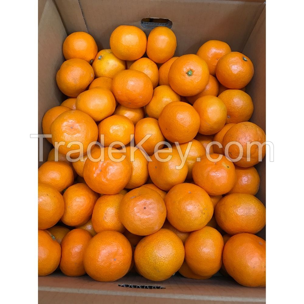 Citrus Fruits