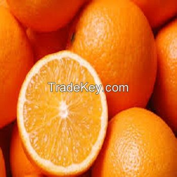 Fresh quality oranges