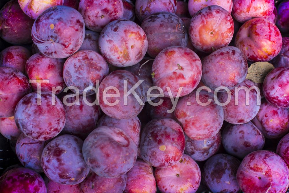 Fresh delicious sweet and sour plums