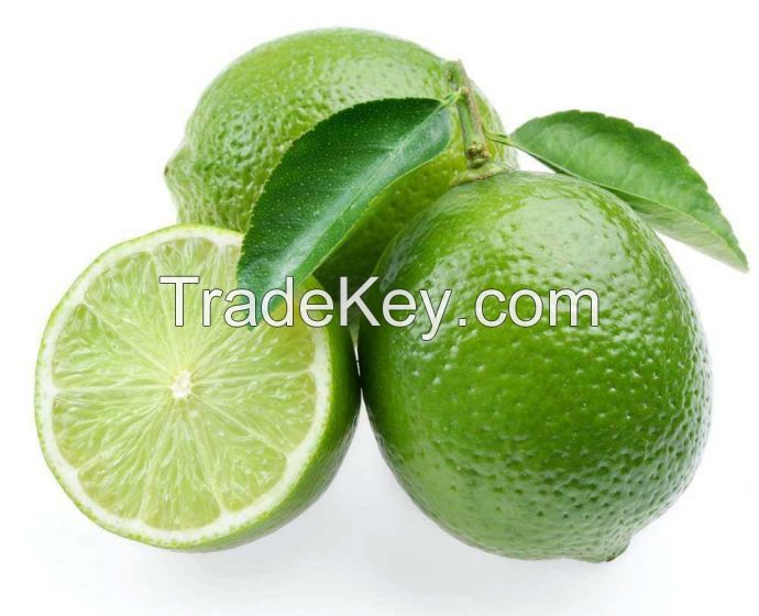 citrus fruit Lemon