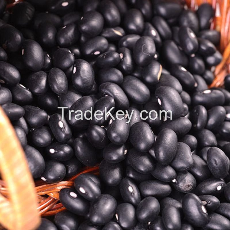 Black Kidney Beans