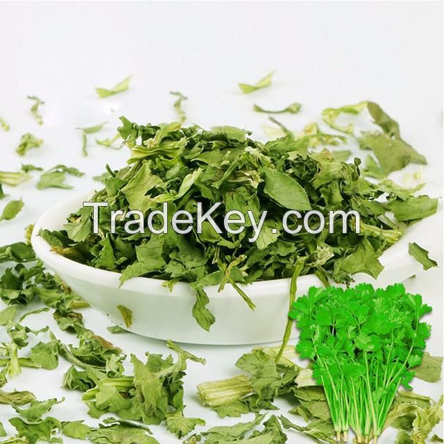 High Quality fresh Spring Onion Rings Green/Wholesale Price