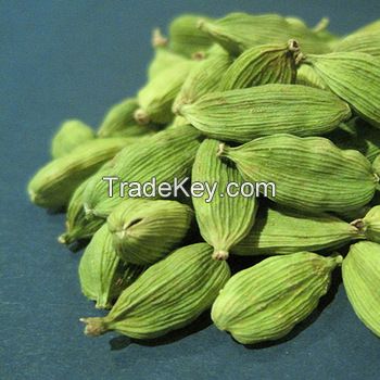 High quality and competitive price Cardamons Seeds