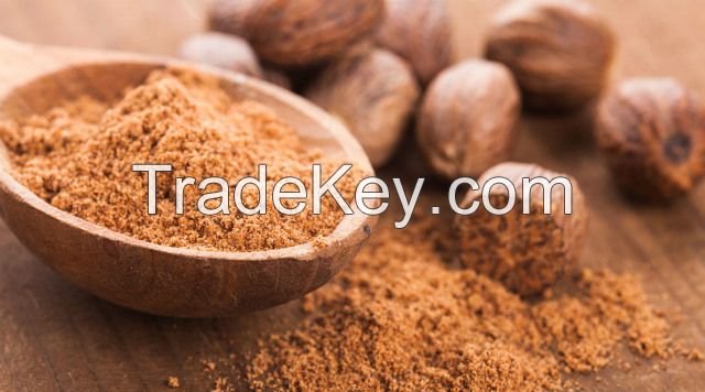 High quality Nutmeg powder
